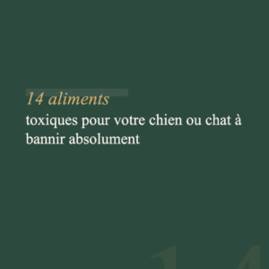 Guide Aliments Toxiques — Les 14 aliments dangereux pour chiens et chats