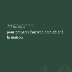 Guide Arrivée Chiot — Accueillir son chiot dans les meilleures conditions