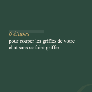 Guide Griffes — Préserver ses meubles et soigner les griffes de son chat