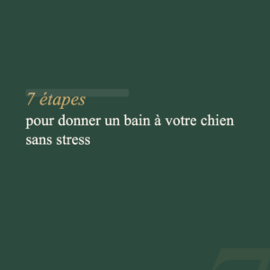 Guide Bain — Donner le bain à son chien sans stress